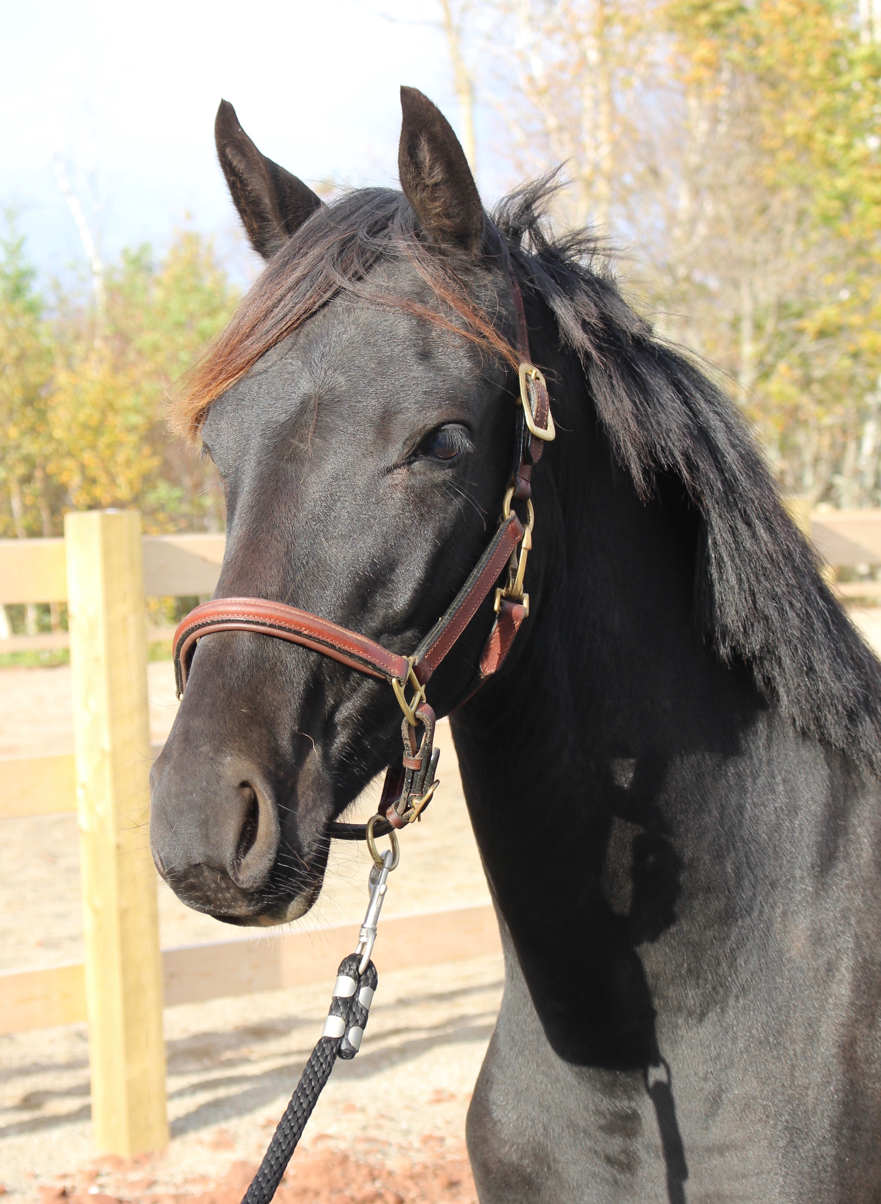 IMG_9615